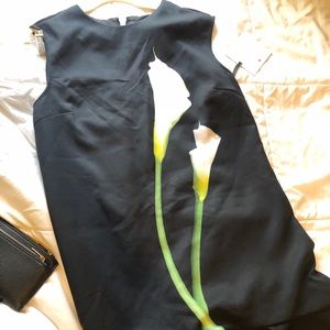 Target x Victoria Beckham drop waist dress
